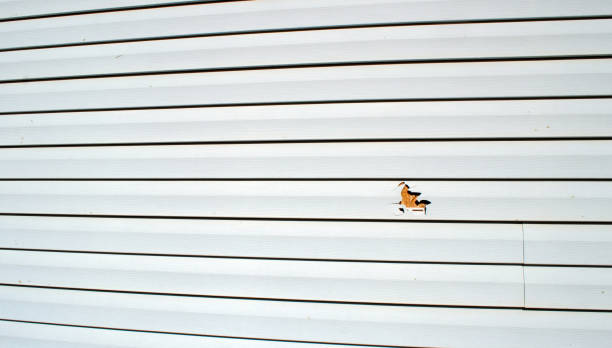 Best Engineered Wood Siding  in Ephrata, WA